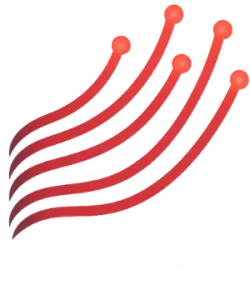 Liga Fibra - Empresa de Telecomunicações